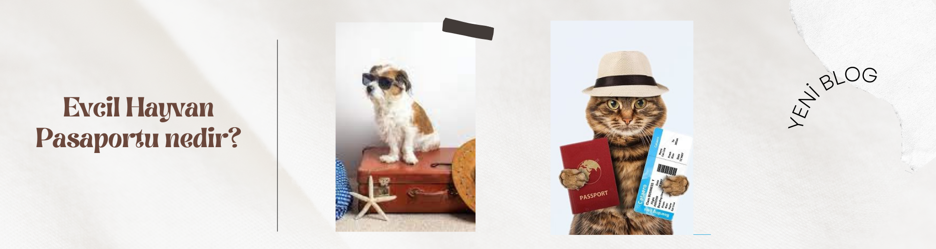 Evcil Hayvan Pasaportu: Dünyanın Dört Bir Yanındaki Patili Arkadaşların Seyahat Bileti